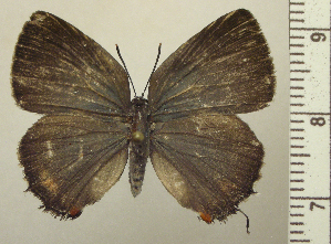  ( - RCB05123)  @11 [ ] by-nc-sa (2025) Robert C. Busby Robert C. Busby