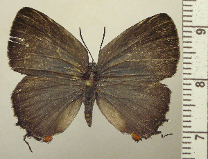  ( - RCB05126)  @11 [ ] by-nc-sa (2025) Robert C. Busby Robert C. Busby