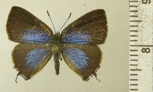  ( - RCB06478)  @11 [ ] by-nc-sa (2023) Robert C. Busby Robert C. Busby