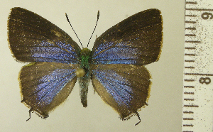  ( - RCB06483)  @11 [ ] by-nc-sa (2023) Robert C. Busby Robert C. Busby