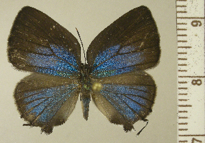  ( - RCB15094)  @11 [ ] by-nc-sa (2025) Robert C. Busby Robert C. Busby