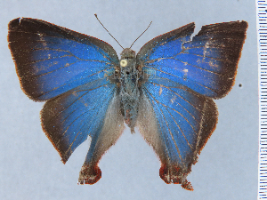  ( - RCCFXPL6A07)  @11 [ ] by-nc-sa (2024) C. Faynel C. Faynel