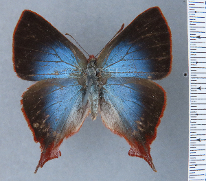  ( - RCCFXPL6A10)  @11 [ ] by-nc-sa (2024) C. Faynel C. Faynel