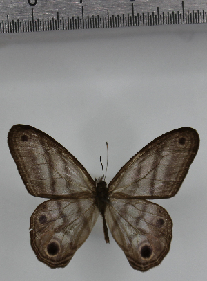  ( - SAT-MB-005)  @11 [ ] copyright (2025) M. Benmesbah Research Collection of Mohamed Benmesbah