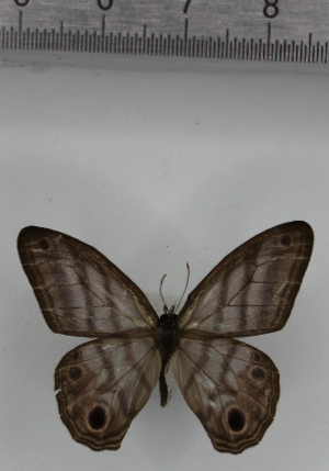  ( - SAT-MB-006)  @11 [ ] copyright (2025) M. Benmesbah Research Collection of Mohamed Benmesbah