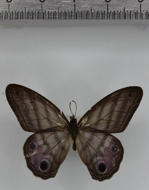  ( - SAT-MB-007)  @11 [ ] copyright (2025) M. Benmesbah Research Collection of Mohamed Benmesbah