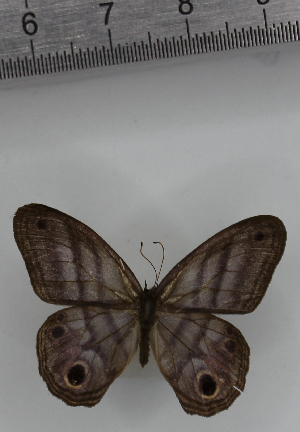  ( - SAT-MB-008)  @11 [ ] copyright (2025) M. Benmesbah Research Collection of Mohamed Benmesbah