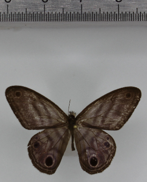  ( - SAT-MB-018)  @11 [ ] copyright (2025) M. Benmesbah Research Collection of Mohamed Benmesbah