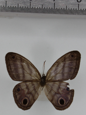  ( - SAT-MB-019)  @11 [ ] copyright (2025) M. Benmesbah Research Collection of Mohamed Benmesbah