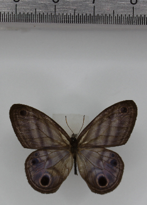  ( - SAT-MB-020)  @11 [ ] copyright (2025) M. Benmesbah Research Collection of Mohamed Benmesbah