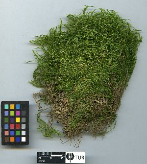  ( - B205543)  @11 [ ] Unspecified (default): All Rights Reserved  Unspecified Unspecified