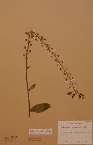  ( - H-KYM010227)  @11 [ ] Unspecified (default): All Rights Reserved  Unspecified Unspecified