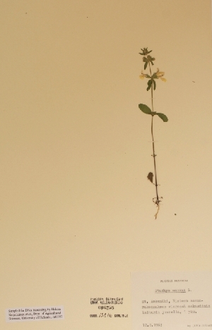  ( - H006258)  @11 [ ] Unspecified (default): All Rights Reserved  Unspecified Unspecified
