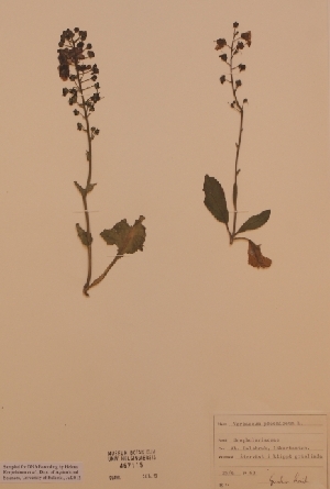  ( - H467115)  @11 [ ] Unspecified (default): All Rights Reserved  Unspecified Unspecified