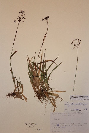  ( - H723067)  @11 [ ] Unspecified (default): All Rights Reserved  Unspecified Unspecified