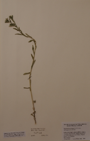  ( - H747146)  @11 [ ] Unspecified (default): All Rights Reserved  Unspecified Unspecified