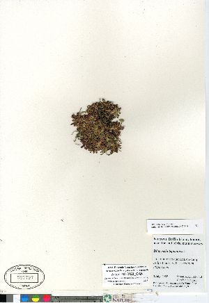  ( - Aiken_02-002f_CAN)  @11 [ ] Copyright (2011) Canadian Museum of Nature Canadian Museum of Nature