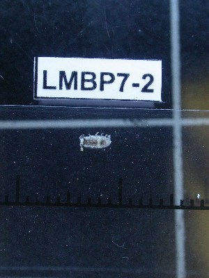  ( - LMBP7-002)  @11 [ ] Unspecified (default): All Rights Reserved  Unspecified Unspecified