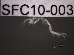  ( - SFC10-003)  @11 [ ] Unspecified (default): All Rights Reserved  Unspecified Unspecified