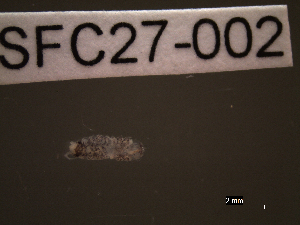  ( - SFC27-002)  @11 [ ] Unspecified (default): All Rights Reserved  Unspecified Unspecified