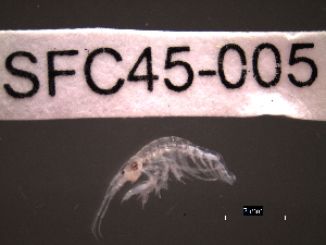  ( - SFC45-005)  @11 [ ] Unspecified (default): All Rights Reserved  Unspecified Unspecified
