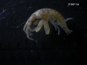  ( - SFCM27-004)  @11 [ ] Unspecified (default): All Rights Reserved  Unspecified Unspecified