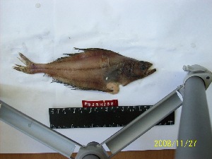  ( - YPK258)  @12 [ ] Unspecified (default): All Rights Reserved  Unspecified Unspecified