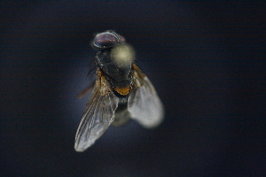 ( - QCAZI_232882)  @11 [ ] Unspecified (default): All Rights Reserved  Unspecified Unspecified