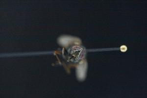  ( - QCAZI_232882)  @11 [ ] Unspecified (default): All Rights Reserved  Unspecified Unspecified