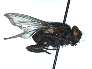  ( - QCAZI_235336)  @13 [ ] Unspecified (default): All Rights Reserved  Unspecified Unspecified