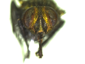  ( - QCAZI_235356)  @13 [ ] Unspecified (default): All Rights Reserved  Unspecified Unspecified