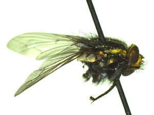  ( - QCAZI_235357)  @13 [ ] Unspecified (default): All Rights Reserved  Unspecified Unspecified