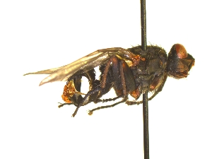  ( - QCAZI_235378)  @11 [ ] Unspecified (default): All Rights Reserved  Unspecified Unspecified