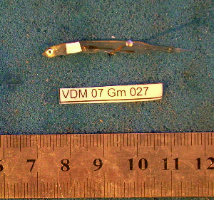  ( - INIBIOMA p52)  @12 [ ] Unspecified (default): All Rights Reserved  Unspecified Unspecified