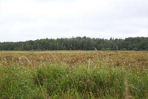  ( - 091_001)  @11 [ ] CreativeCommons - Attribution Non-Commercial Share-Alike (2019) Kostrzyca Forest Gene Bank Kostrzyca Forest Gene Bank