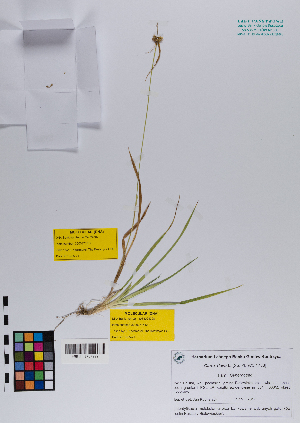  ( - 098_002A)  @11 [ ] CreativeCommons - Attribution Non-Commercial Share-Alike (2019) Kostrzyca Forest Gene Bank Kostrzyca Forest Gene Bank