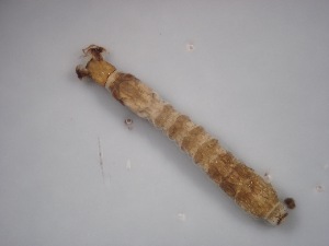  ( - Jari-20110093)  @12 [ ] Unspecified (default): All Rights Reserved  Unspecified Unspecified