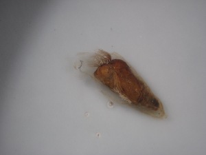  ( - Jari-20110152)  @12 [ ] Unspecified (default): All Rights Reserved  Unspecified Unspecified