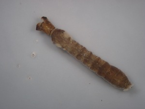  ( - Jari-20110153)  @12 [ ] Unspecified (default): All Rights Reserved  Unspecified Unspecified