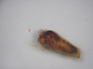  ( - Jari-20110157)  @12 [ ] Unspecified (default): All Rights Reserved  Unspecified Unspecified