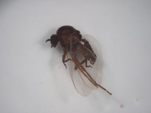  ( - Jari-20110160)  @12 [ ] Unspecified (default): All Rights Reserved  Unspecified Unspecified