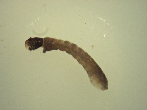  ( - Jari20110261)  @12 [ ] Unspecified (default): All Rights Reserved  Unspecified Unspecified