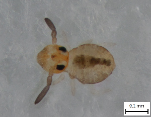  ( - FINCO-2020-0380)  @11 [ ] by-nc (2021) Inkeri Markkula University of Turku