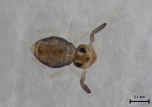  ( - FINCO-2020-0385)  @11 [ ] by-nc (2021) Inkeri Markkula University of Turku