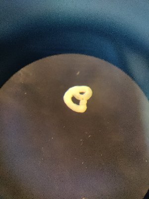  (Enchytraeus dichaetus - FINEN-016)  @11 [ ] CreativeCommons - Attribution Share-Alike (2025) Unspecified Natural Resources Institute Finland