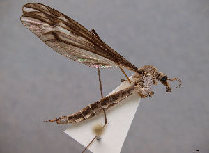  ( - JES-20120069)  @13 [ ] Unspecified (default): All Rights Reserved  Unspecified Unspecified