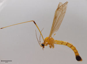  ( - JES-20120087)  @13 [ ] Unspecified (default): All Rights Reserved  Unspecified Unspecified