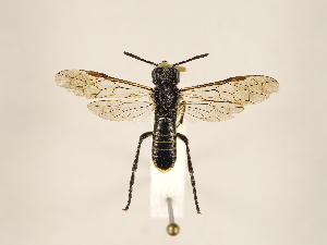  ( - ZMUO.032732)  @13 [ ] CreativeCommons - Attribution Non-Commercial (2018) Marko Mutanen University of Oulu