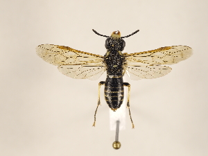  ( - ZMUO.032745)  @13 [ ] CreativeCommons - Attribution Non-Commercial (2018) Marko Mutanen University of Oulu