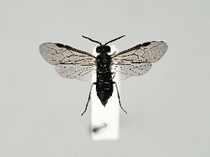  ( - ZMUO.058415)  @11 [ ] by-nc (2022) Marko Mutanen University of Oulu